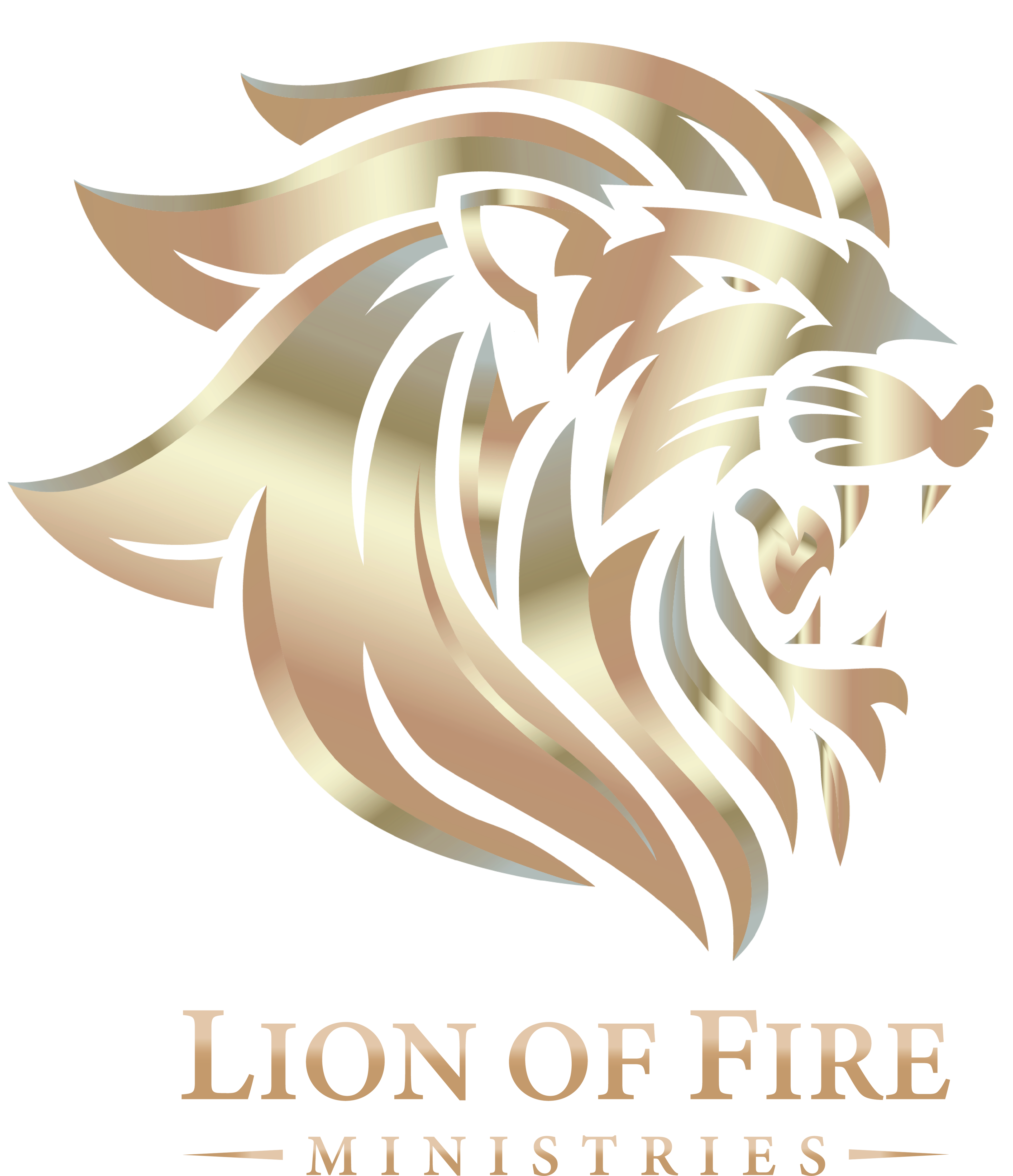 Lion of Fire Ministries