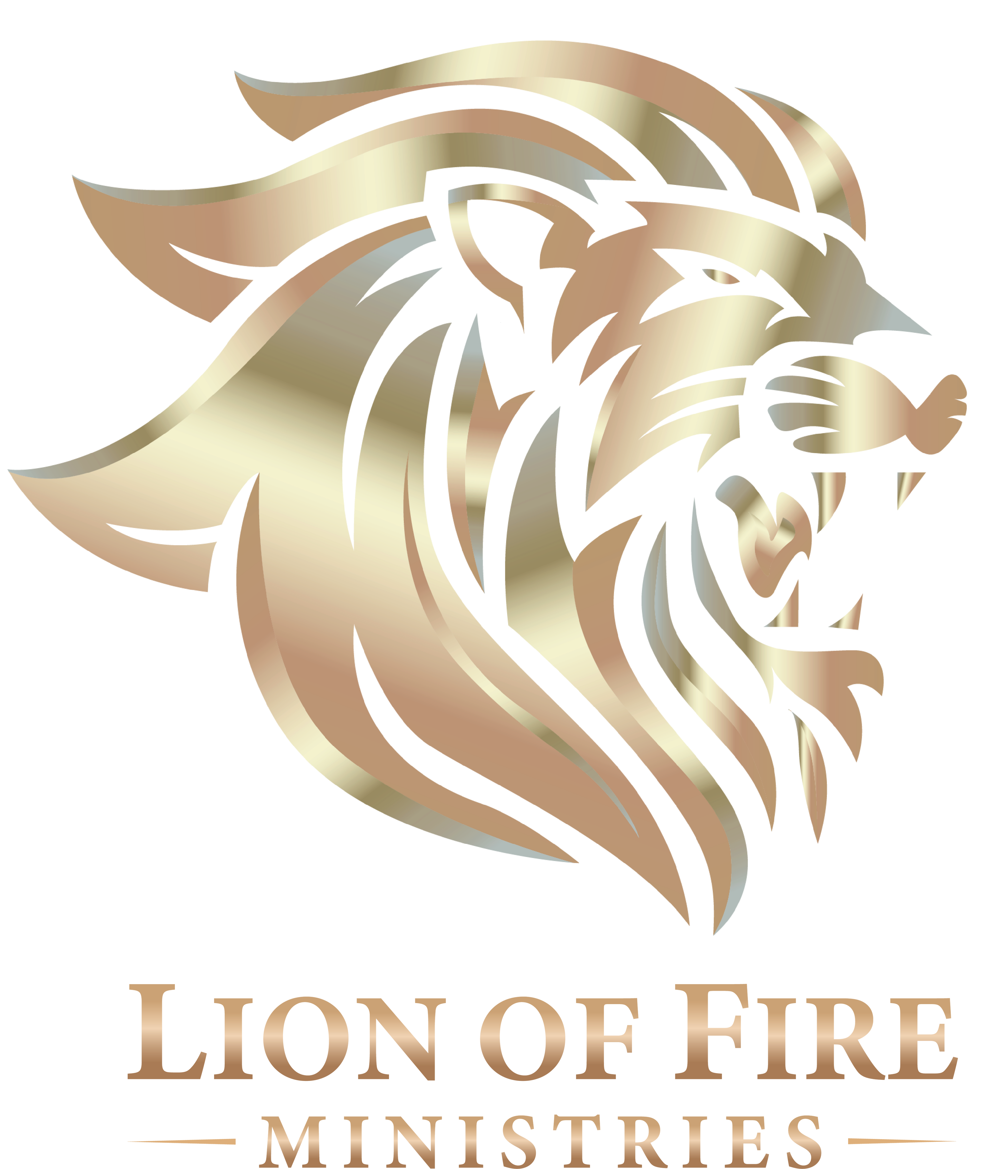 Lion of Fire Ministries