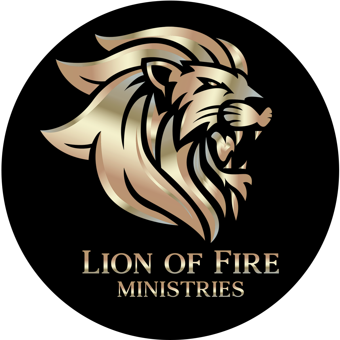 Lion of Fire Ministries